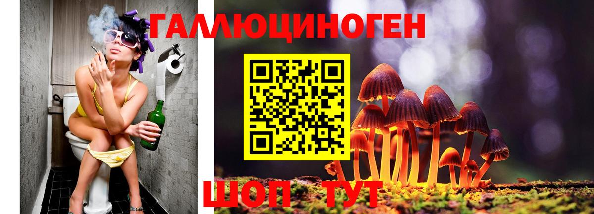 Галлюциногенные грибы ЛСД Мирный