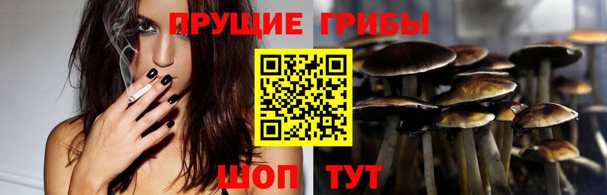 Мирный  Галлюциногенные грибы MAGIC MUSHROOMS  Вход с VPN 